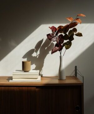 Art & Photography Books on Orlando, Florida